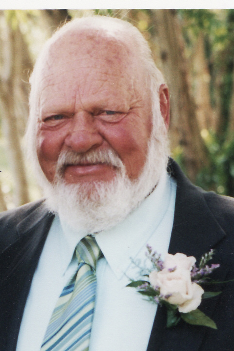 robert  stone