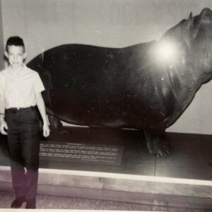 robert redman Gallery